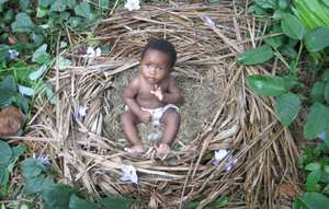 Jero saved from the jungle