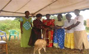 Women ecconimc empowerment