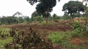 Project Land