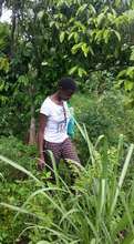Shifah in the garden hard working