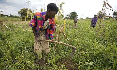 our farming vision for sustainability