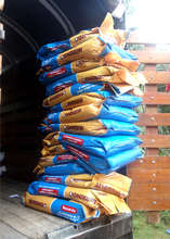 One month of cat food