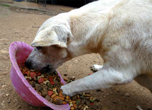 Blanquita