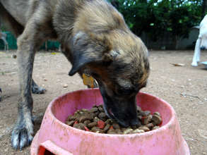 Chiqui
