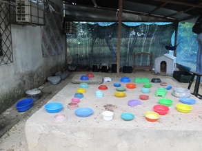 Cat Shelter