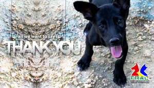 Thank you!