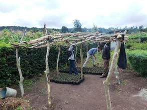 Tree Nursery