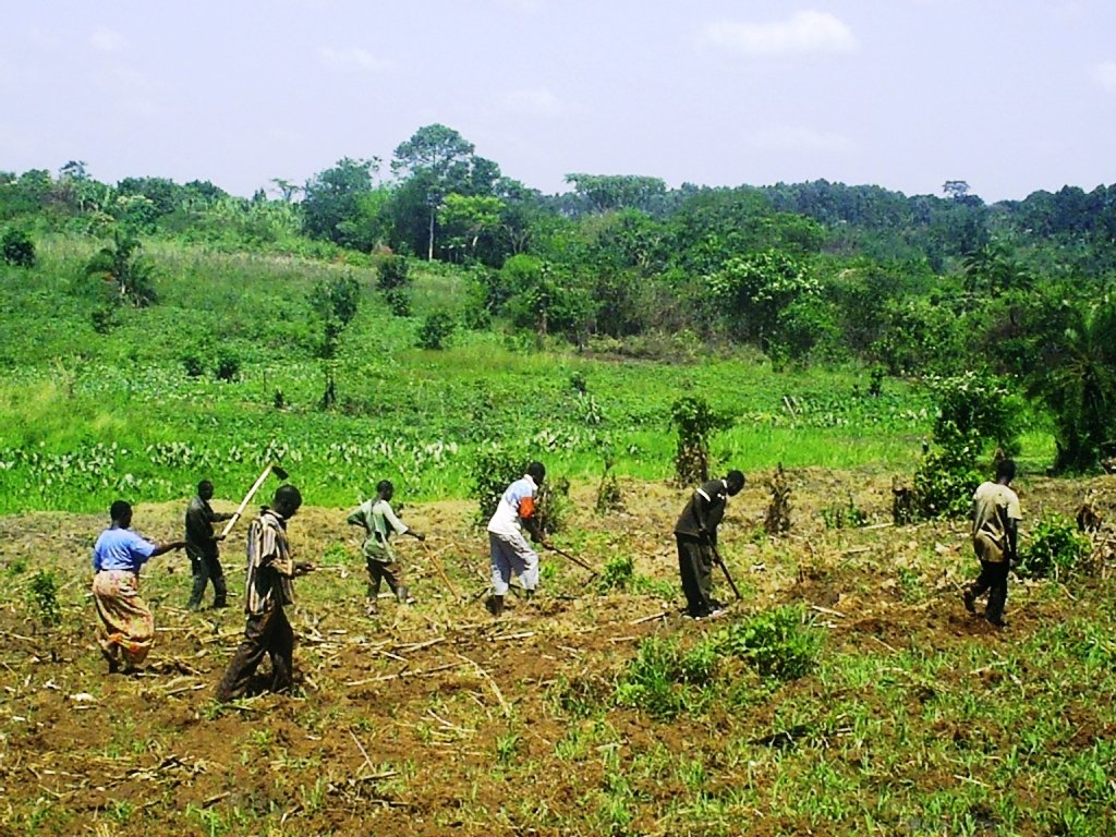 EDUCATE 618 ORPHANS IN UGANDA