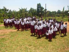 EDAPO orphans