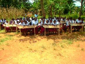 EDAPO orphans