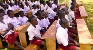 EDAPO orphans