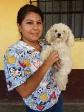 Gaby volunteering at pet clinic