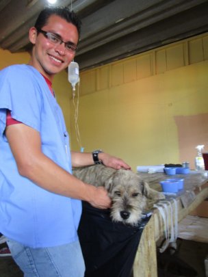 Volunteering with local pet rescue charity