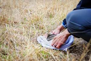 Bandicoot released after health check