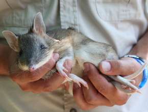 A final health check before release!