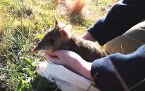 Released after health checks complete