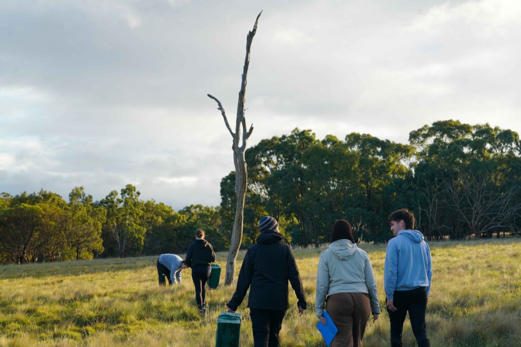 Bandicoot trapping and monitoring event