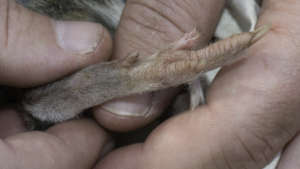 Feet...Good too!  Photo: David Paul