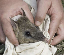 Time for a Health Check! Photo: David Paul