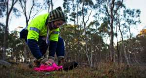 Health checks finished - time to go home