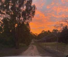 HOT SUNRISE - Fence Patrolling