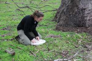 Liz from our Melbourne team releasing super-coot!