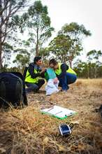 Volunteers checking the traps