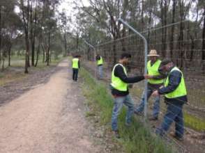 Volunteers maintaining the predator-proof fence