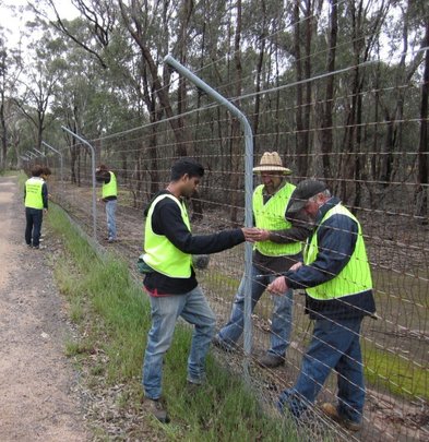 Volunteers check and maintain the important fence