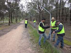 Volunteers maintaining the important fence