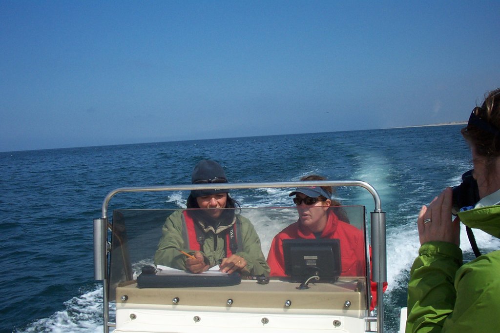 HELP SAVE DOLPHINS IN CALFORNIA WATERS