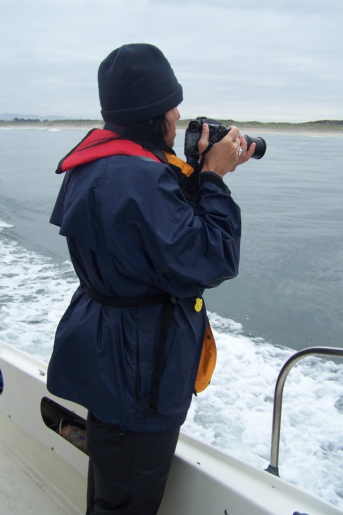 HELP SAVE DOLPHINS IN CALFORNIA WATERS