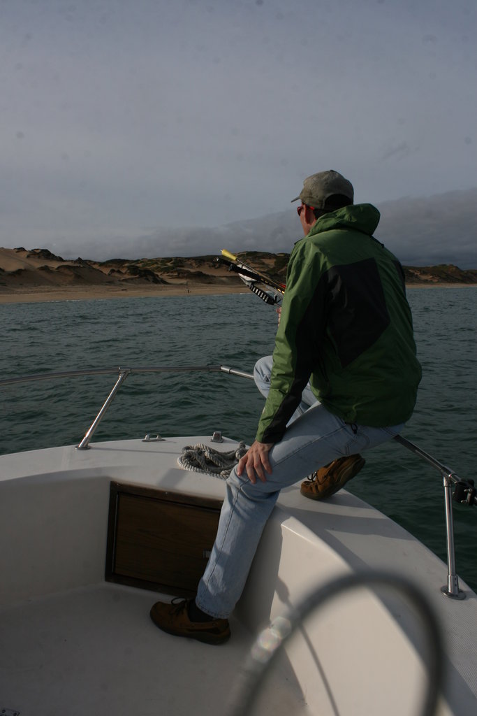 HELP SAVE DOLPHINS IN CALFORNIA WATERS
