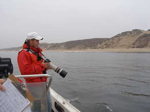 Research Team on a Survey