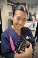 Curly at one of the bandage changes