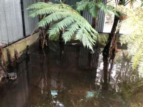 Flooded Enclosure