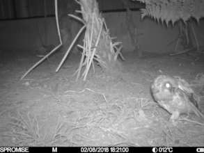 Neck in a better position