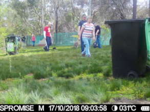 Volunteers captured in action