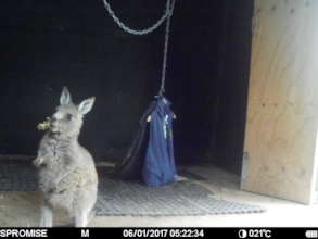 I know how to eat by myself now