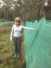 Volunteer showing leaning fence after storm