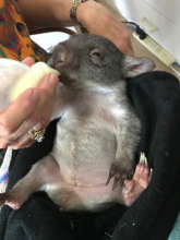 Mulan now enjoying life