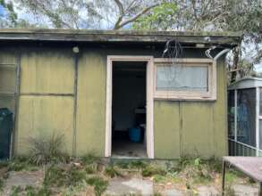 The old termite ridden shed.