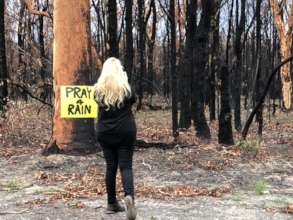 Signs praying for rain & thanking fire fighters.
