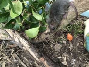 Adam at 12 grams and never still