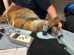 Fitting light weight collar