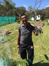 Volunteer enjoying their work day at the park.