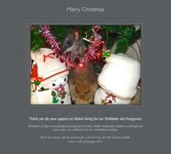 Merry Christmas and thank you to our supporters