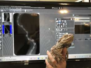 Our Mobile Care Units x rays