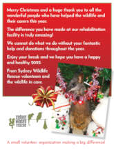 Merry Christmas everyone.