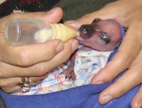 When first came into care